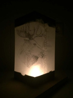 Fotka lampion č. 5