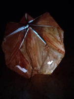 Fotka lampion č. 7